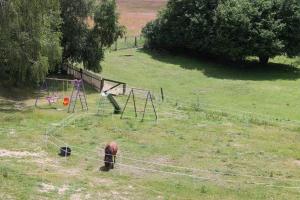 un caballo parado en un campo con un parque de juegos en Landhaus Damerow 2, en Federow