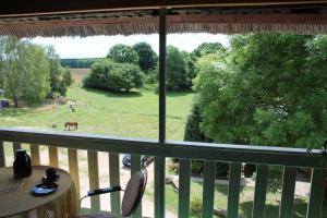 a view of a horse in a field from a balcony at Landhaus Damerow 2 in Federow