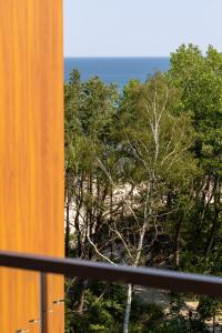 Příroda nedaleko apartmánu + 22 fotografií