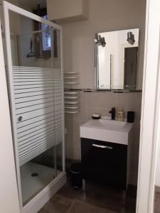 a bathroom with a sink and a glass shower at Joli appartement T2 Agglo Troyes in Sainte-Savine