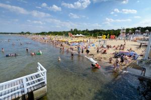 a group of people in the water at a beach at Willa Nadmorska in Gdańsk