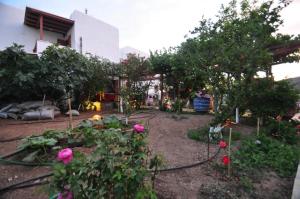 a garden with roses and trees and a building at Zoe's Place in Ios Chora