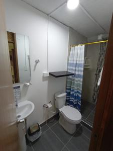 a bathroom with a toilet and a sink at CASA SANTA CIRCASIA in Circasia
