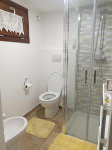 La salle de bains est pourvue de toilettes et d'une douche en verre. dans l'établissement L'Olmo vestito, à Teramo