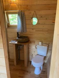 a bathroom with a toilet in a log cabin at Cabane des Vargottes : insolite en pleine nature in Girmont-Val-dʼAjol