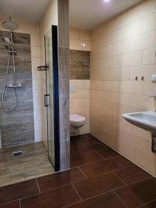 La salle de bains est pourvue d'une douche, de toilettes et d'un lavabo. dans l'établissement Kulturstätte Gröditz, à Gröditz
