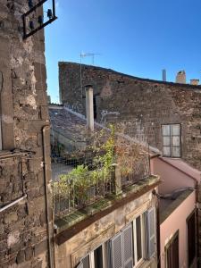 Un balcón con plantas en el costado de un edificio. en Guest House Palazzo Bussi, en Viterbo