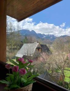 En generel udsigt til bjerge eller udsigt til bjerge taget fra pensionatet