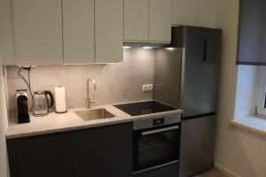 une cuisine avec un évier et un réfrigérateur dans l'établissement City Apartment Rudolf 26m2, à Graz 15 autres photos