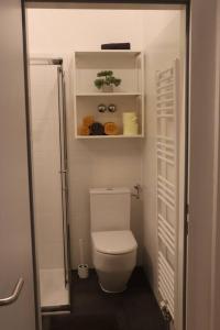 une petite salle de bain avec toilettes et douche dans l'établissement City Apartment Rudolf 26m2, à Graz