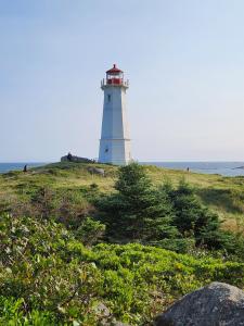 ein Leuchtturm auf einem grasbewachsenen Hügel in der Unterkunft Louisbourg Heritage House in Louisbourg