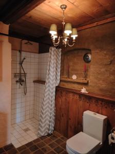 ein Bad mit einer Dusche und einem WC. in der Unterkunft Falco und Stephanie Kirchbichler in Bad Klosterlausnitz