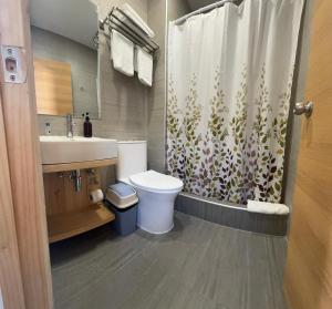 een badkamer met een toilet en een douchegordijn bij Vistara Suites in Iquique