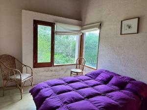 duże fioletowe łóżko w pokoju z oknem w obiekcie Hermosa Casa de campo con pileta w mieście Río Ceballos