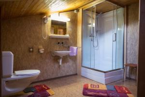 a bathroom with a shower and a toilet and a sink at Hotel Restaurant Bergheim in Flumserberg