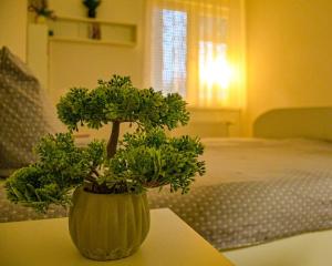 a plant in a green vase sitting on a table at Apartman Lux 5- private parking in Sombor