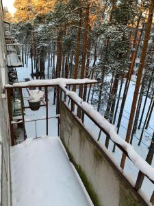 una ringhiera ricoperta di neve vicino ad alcuni alberi di Near the airport a Mārupe