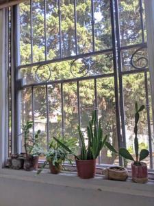 En have udenfor Depto en Villa del Parque centro + 13 billeder