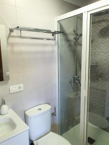 勞羅塔瓦的住宿－Estancia Julia，一间带卫生间和玻璃淋浴间的浴室
