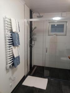 a bathroom with a shower with a glass door at Haus am Römerstich in Auen