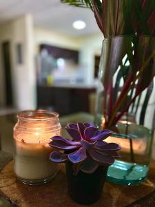 une bougie et une fleur dans un vase sur une table dans l'établissement Home 99, à San Mateo