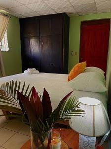 - une chambre avec un lit avec une plante et une table dans l'établissement Home 99, à San Mateo