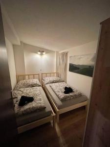 two beds in a room with two cats on them at Gesamtes Haus mit Garten - 100% Privatsphäre in Vienna