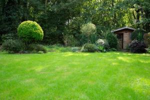 a small wooden shed in a field of grass at Le nid du massereau in Bouguenais