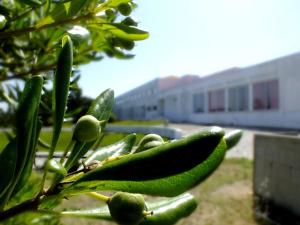 Galeriebild der Unterkunft HI Almograve – Pousada de Juventude in Almograve