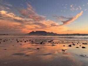 a group of birds on the beach at sunset at Lovely Garden Studio1 - 10 minute walk from beach in Cape Town