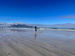 Billede fra billedgalleriet på Lovely Garden Studio1 - 10 minute walk from beach i Cape Town