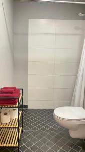 a bathroom with a toilet and a shelf with towels at Filosoofi 1 Studio Apartments in Tartu