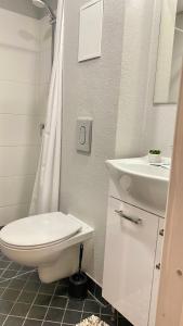 łazienka z toaletą i umywalką w obiekcie Filosoofi 1 Studio Apartments w mieście Tartu