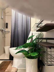 baño con aseo y planta en Cozy Kkum - Korean Inspired Staycation at Azure North, en Lagundi