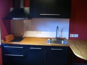 uma cozinha com um lavatório e uma bancada em Apartamento Rural La Aldea Perdida .VV 1434-AS em Pola de Laviana