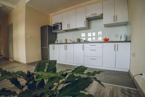 a kitchen with white cabinets and a plant at Apartamenty ABRACADABRA in Ustroń