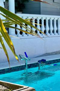 two chairs sitting in the water next to a swimming pool at Sun Caraibes in Orient Bay