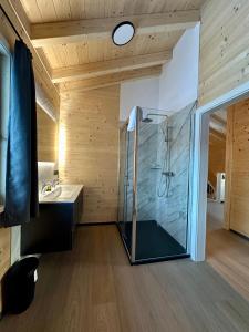 ein Bad mit einer Glasdusche und einem Waschbecken in der Unterkunft Clofers Nature Chalets Obermöschach in Hermagor