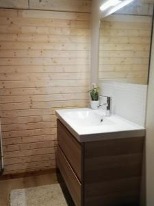 La salle de bains est pourvue d'un lavabo et d'un miroir. dans l'établissement Mezenhof, à Brasschaat
