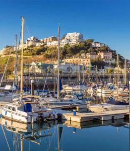 a group of boats docked in a marina at Town House,Walking Distance To Beach,Town,Harbour in Torquay