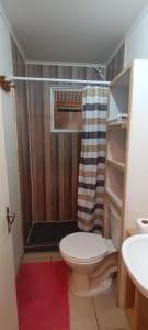 a small bathroom with a toilet and a shower at Casa independiente en Futrono in Futrono