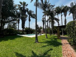 a park with palm trees and a swimming pool at La Quinta in Corrientes