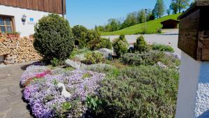 um jardim com flores roxas e roxas e um edifício em Ferienwohnung Dehnert em Fischbachau