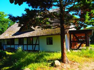 a house with a thatched roof and a tree at Eulenhof Vorpommern in Rossin