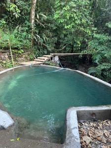 a pool of green water in the middle of a forest at La Chagra vip in Villavicencio