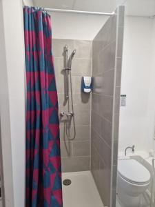 bagno con doccia e servizi igienici. di Hotel de l'Academie a Nancy