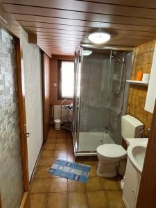 ein Bad mit einer Dusche, einem WC und einem Waschbecken in der Unterkunft Ferienwohnung Annamaria und Manuel Melmer in Sankt Leonhard im Pitztal
