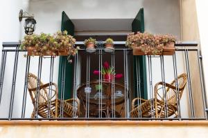 uma varanda com mesa, cadeiras e plantas em Dimora storica, appartamento in Villa Pampinuccia em Bassano del Grappa