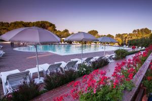 una piscina con sedie, ombrelloni e fiori di New Camping Le Tamerici a Marina di Cecina