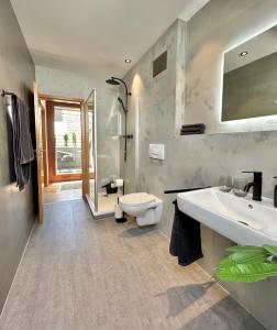 a bathroom with a sink and a toilet and a shower at Dachstudio Apartment in Ulm in Ulm